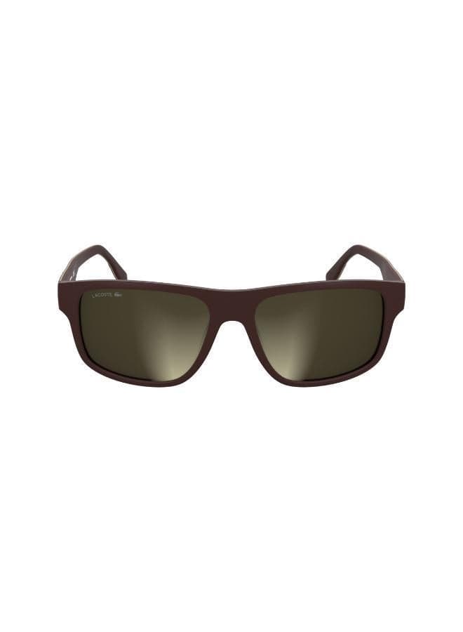 LACOSTE Men's Modified Rectangle Sunglasses