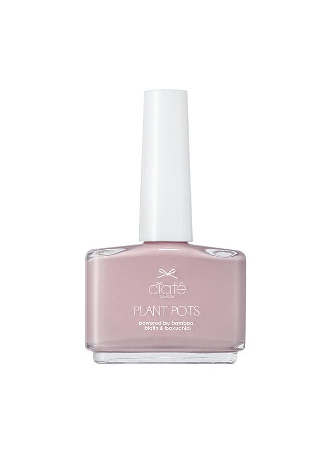 Lush iced Frappe Plant Pots - Image 1