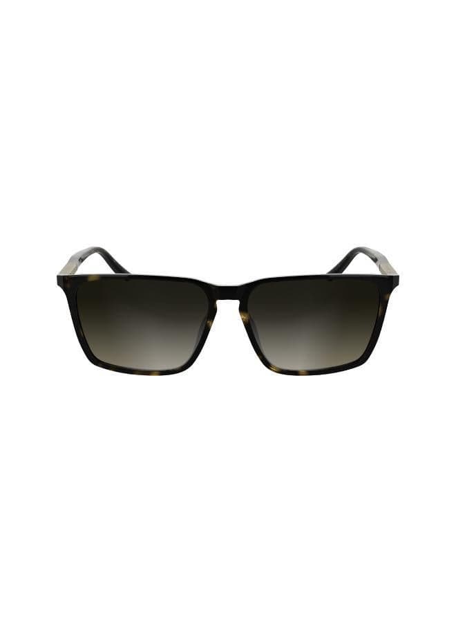 CALVIN KLEIN Eco-Friendly Resin Rectangle Sunglasses for Men