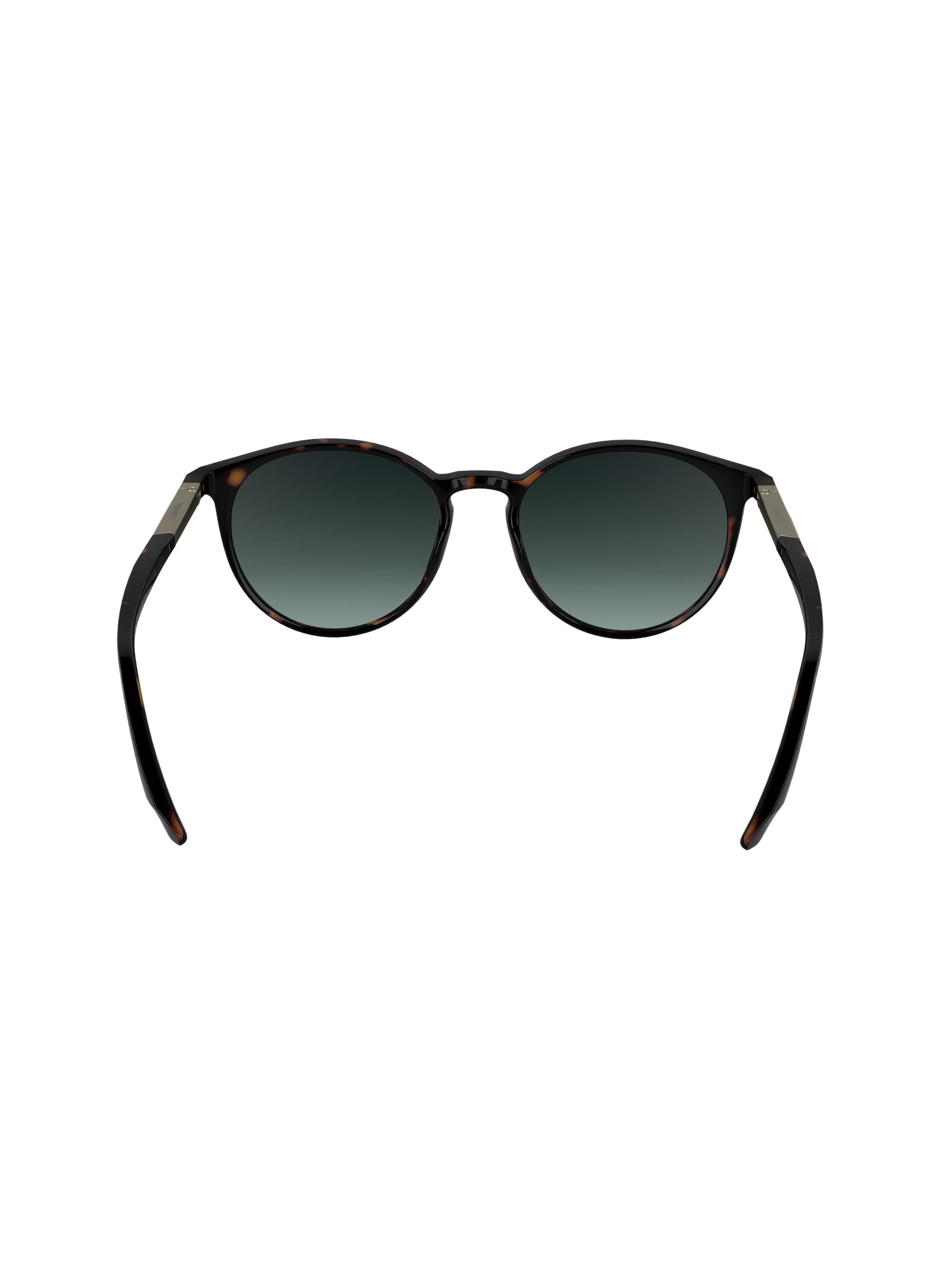 buy-calvin-klein-round-sunglasses-ck24539s_dwm