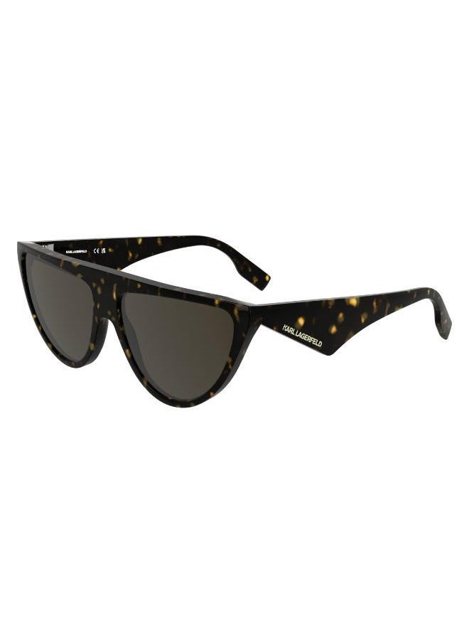 buy-karl-lagerfeld-cat-eye-sunglasses_892