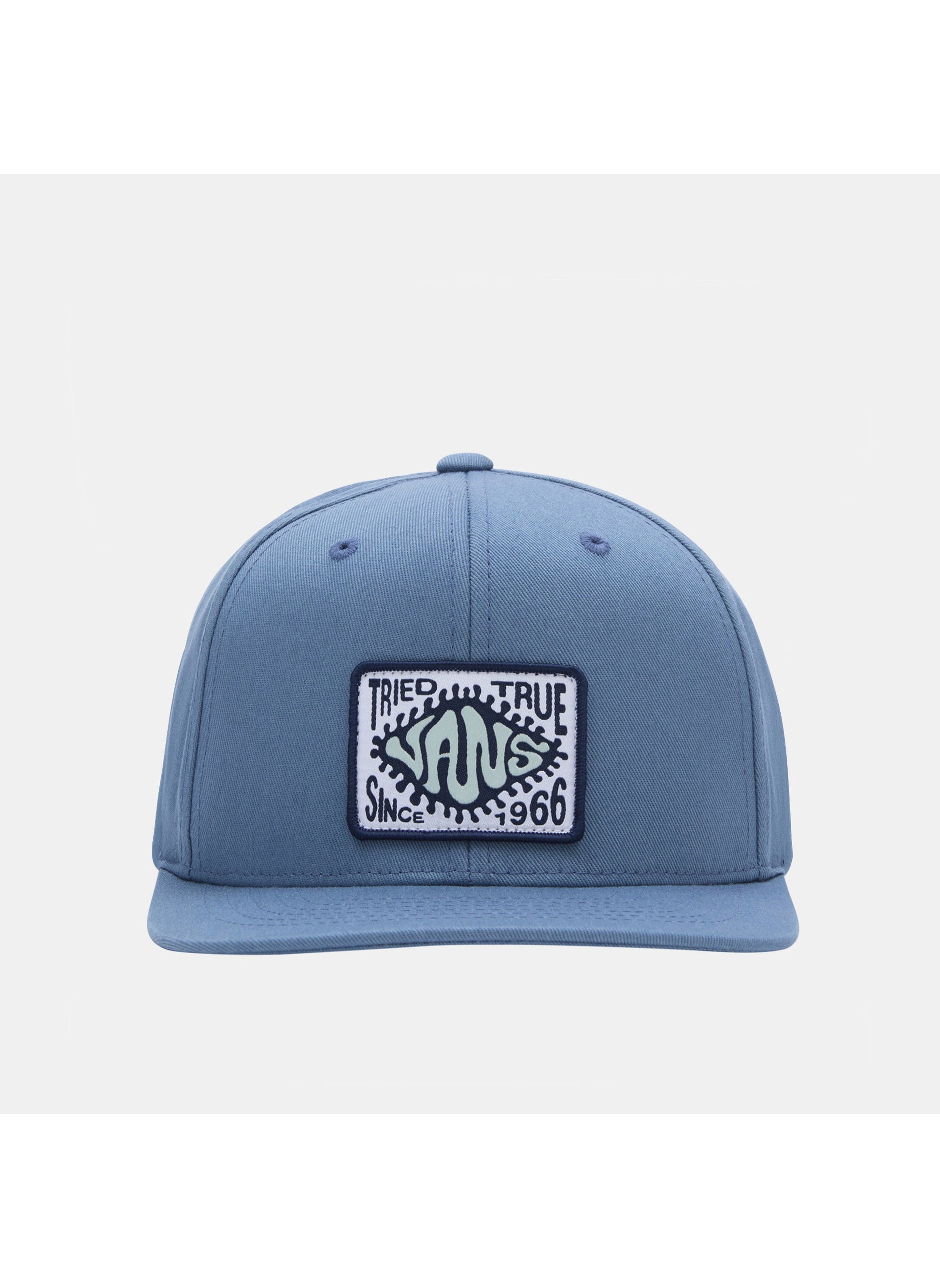 buy-vans-tried-and-true-cap_sv1