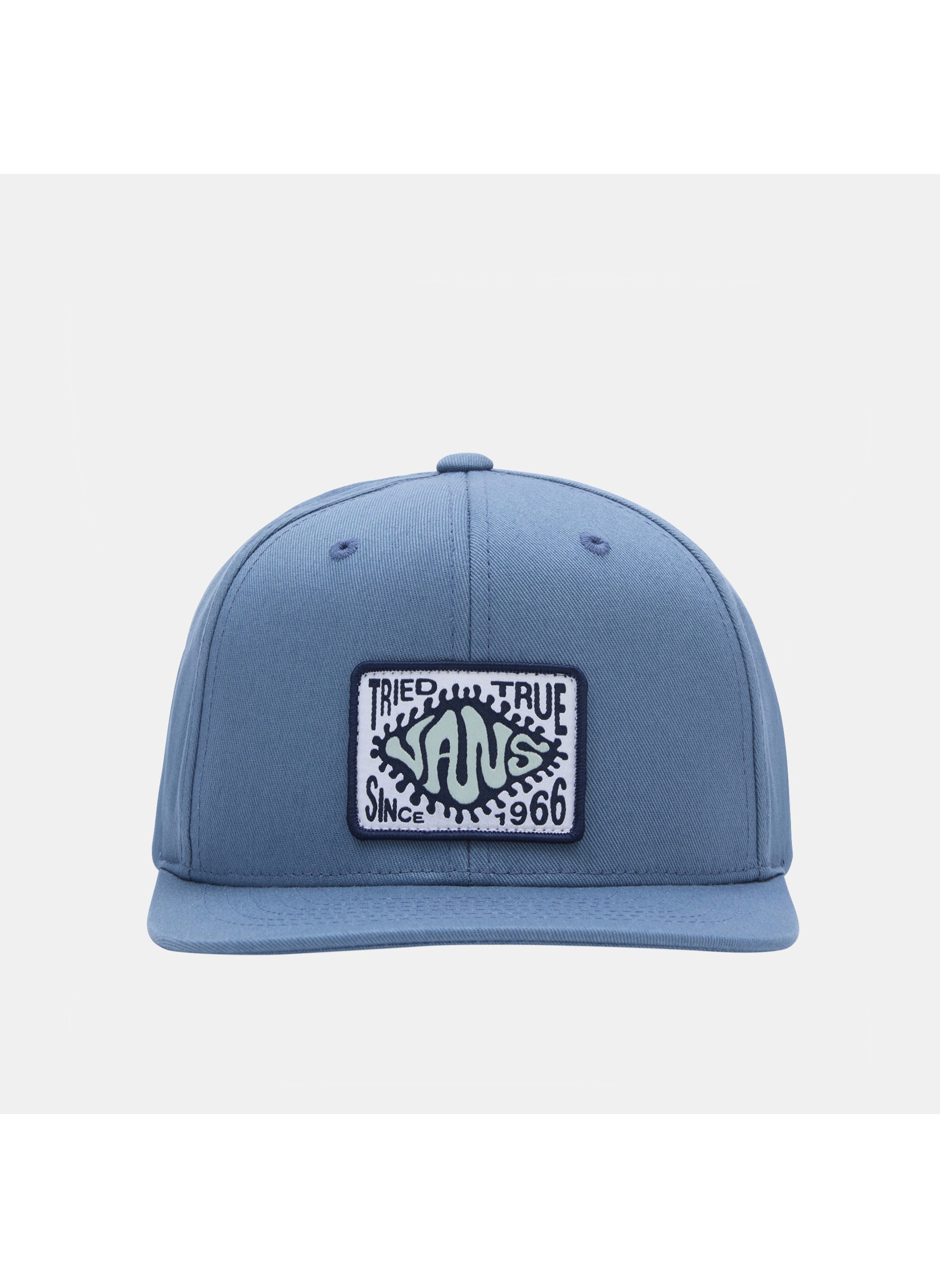 buy-vans-tried-and-true-cap_sv1