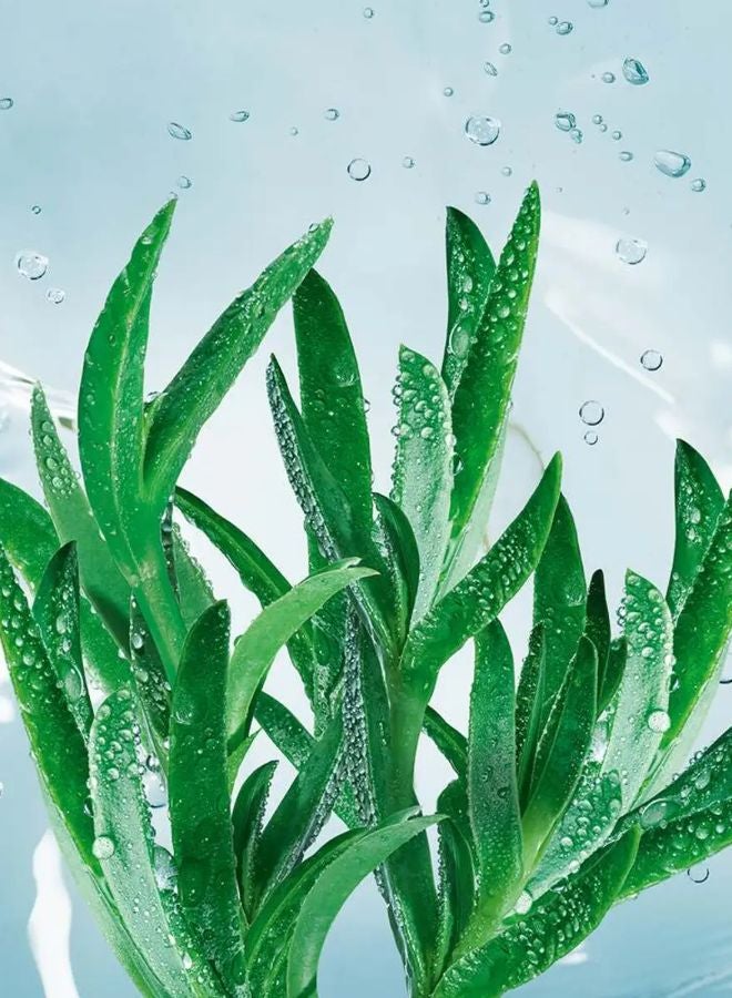 buy-yves-rocher-sos-moisturizing-mask-75ml_ccp