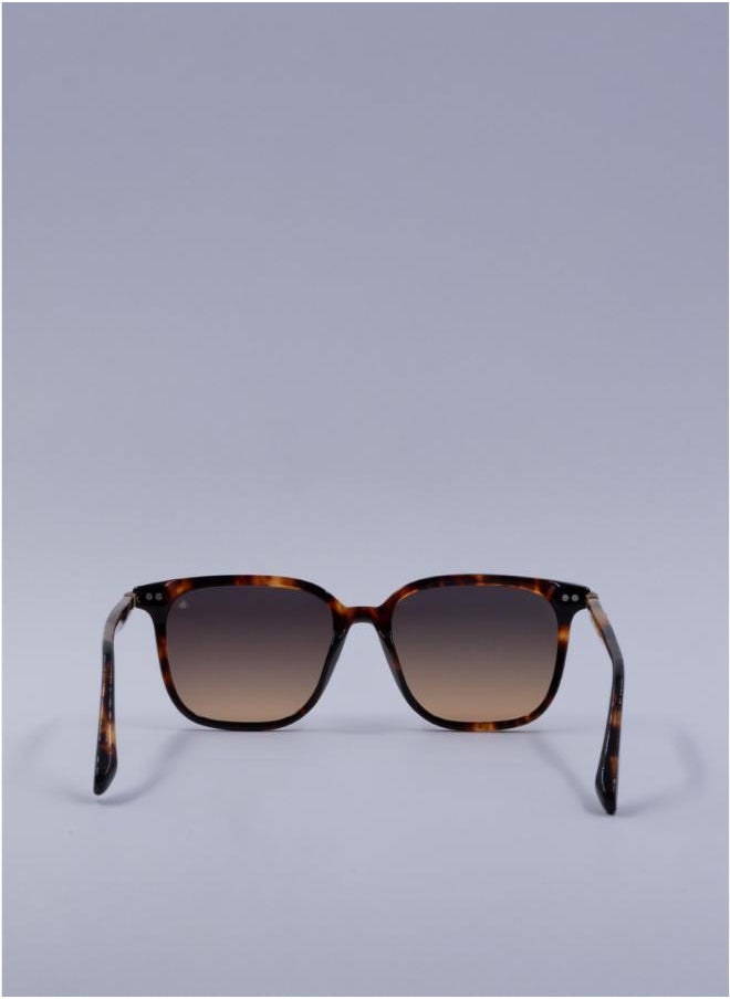 buy-scotch-soda-beverly-square-sunglasses_q4f