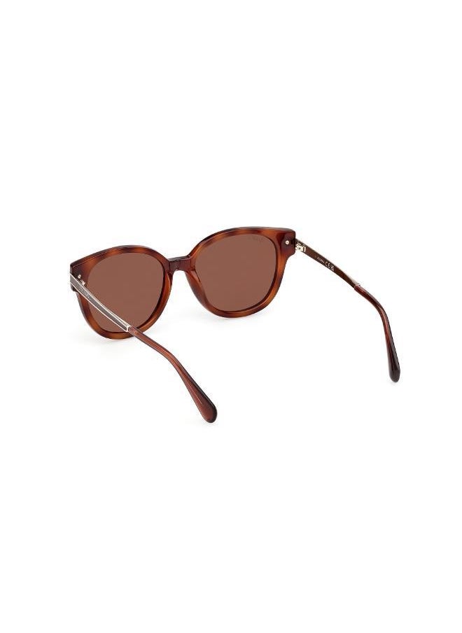 buy-maxco-injected-shaped-sunglasses_x2g