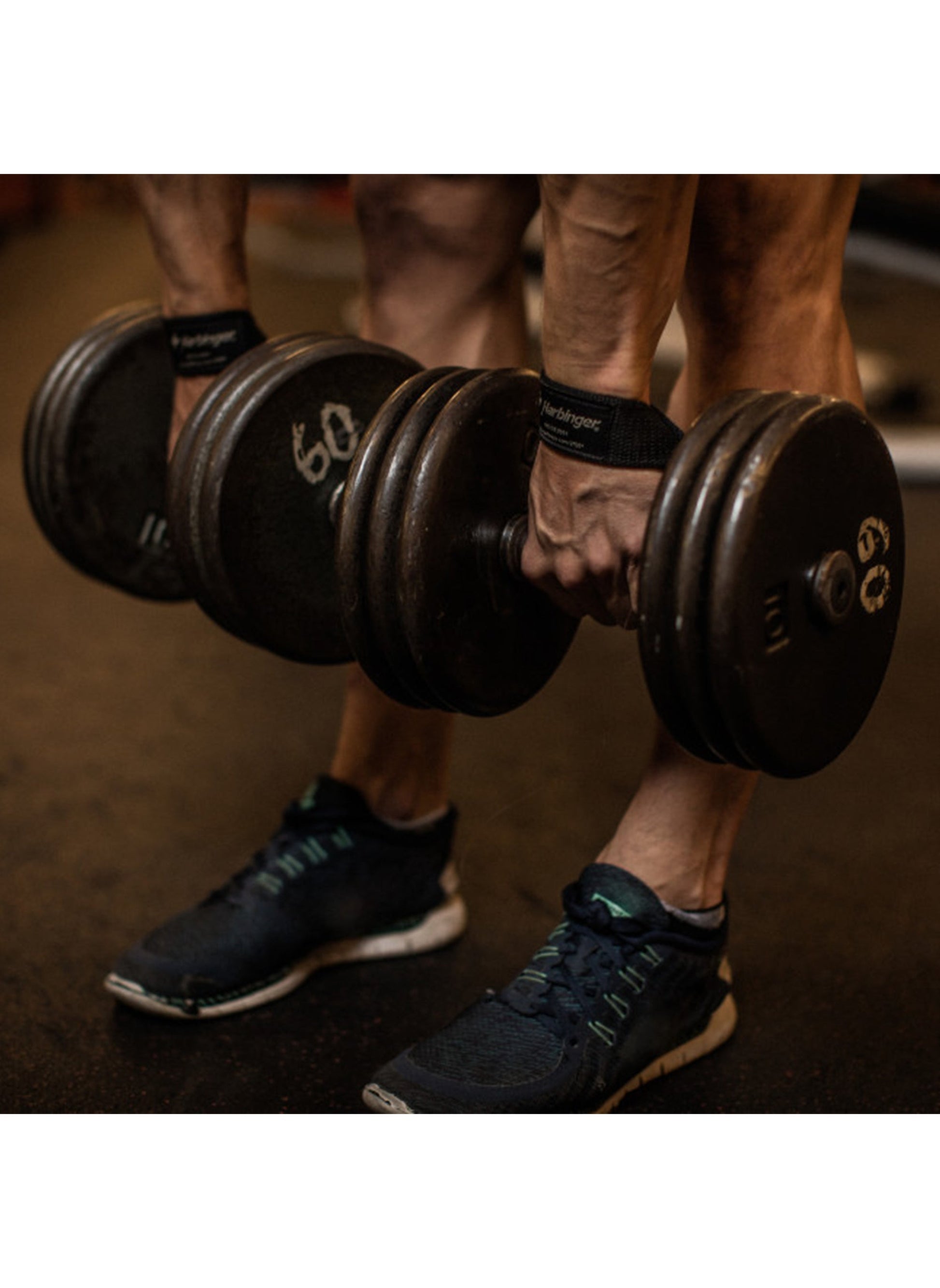 buy-harbinger-weight-lifting-straps-1-pair_eps