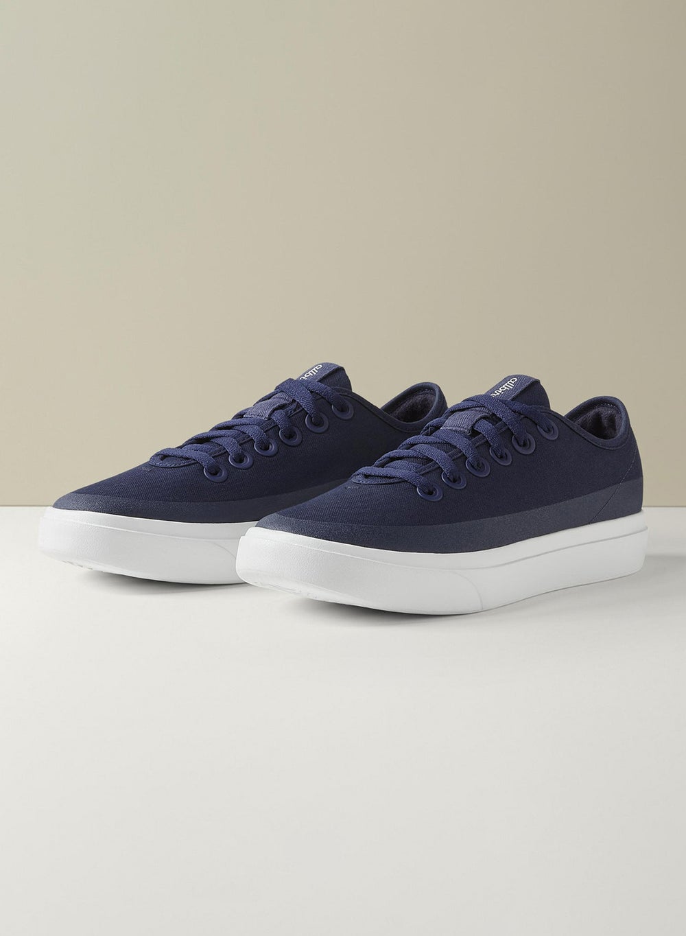 buy-allbirds-canvas-piper_t3d