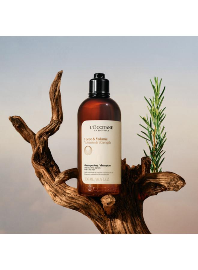 buy-l-occitane-l-occitane-volume-strength-shampoo-500ml-refill_8ma
