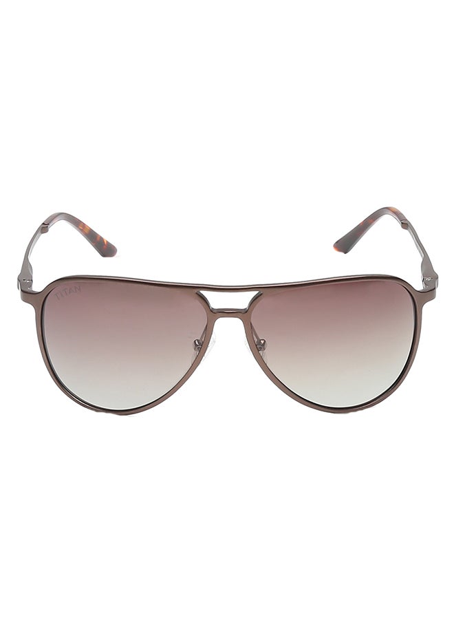 buy-titan-brown-aviator-men-sunglasses_0qp