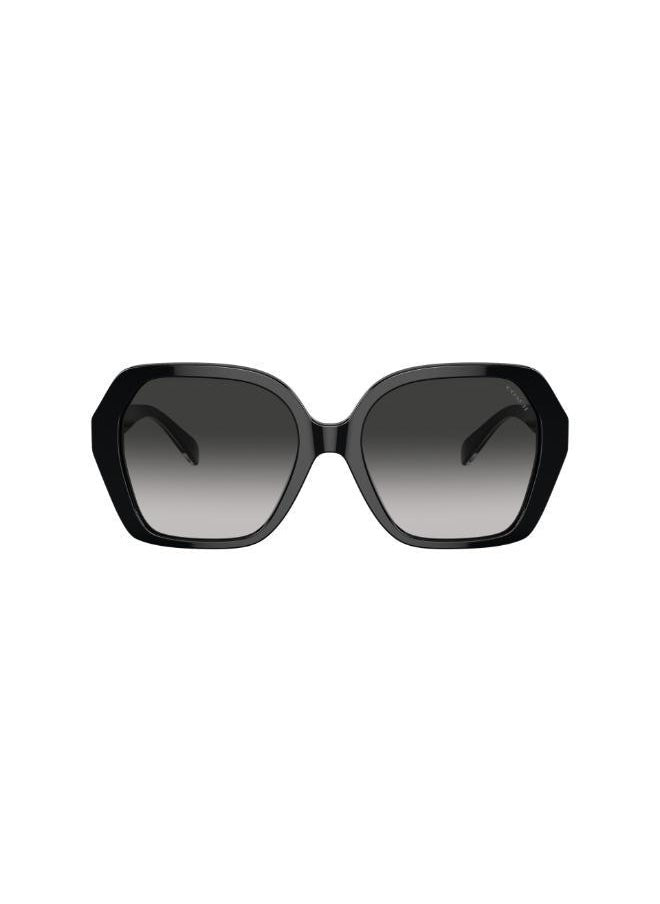 buy-coach-irregular-sunglasses_g2w