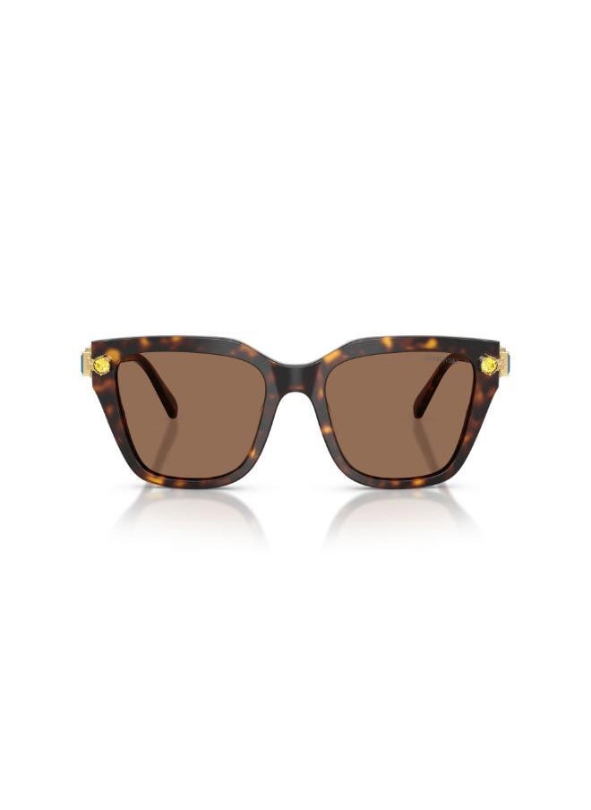 buy-swarovski-havana-frames-sunglasses_3js