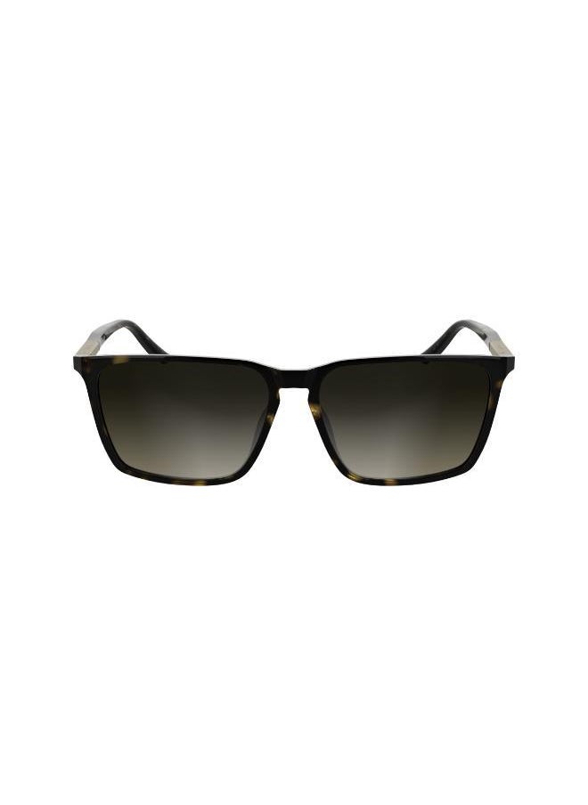 buy-calvin-klein-rectangle-sunglasses_0iu