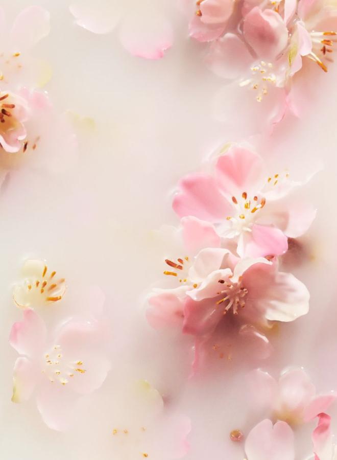 buy-rituals-the-ritual-of-sakura-body-lotion-mousse-body-lotion-mousse-150-ml_pq9