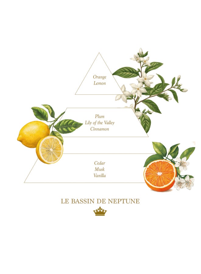 buy-la-savonnerie-royale-195ml-le-bassin-de-neptune-liquid-hand-soap-glass-bottle_id1