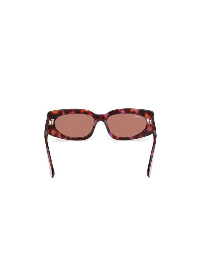 buy-maxco-wayfarers-sunglasses_ae2