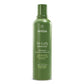 buy-aveda-be-curly-advanced-shampoo_247
