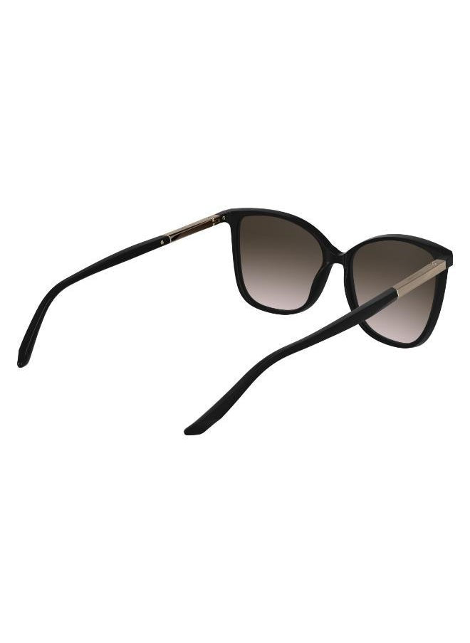 buy-calvin-klein-butterfly-sunglasses_f9p