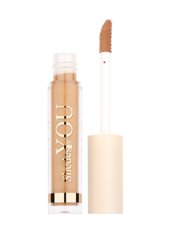 buy-character-shedes-of-you-concealer_p0i