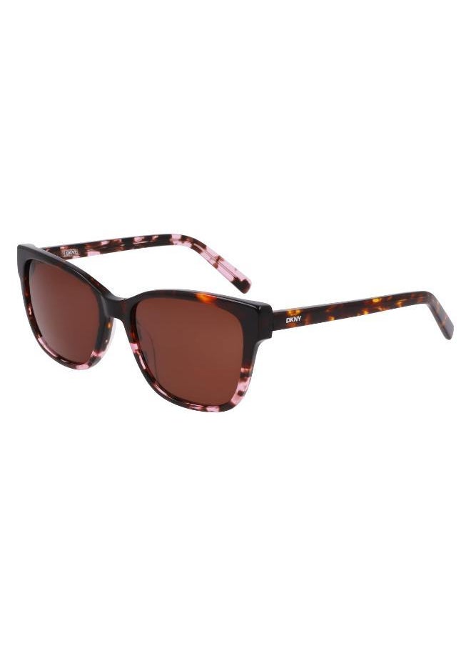 buy-dkny-tea-cup-sunglasses_mng
