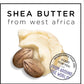 Shea Butter & Hibiscus Anti-Frizz Shampoo - 1L Luxe Cleanse