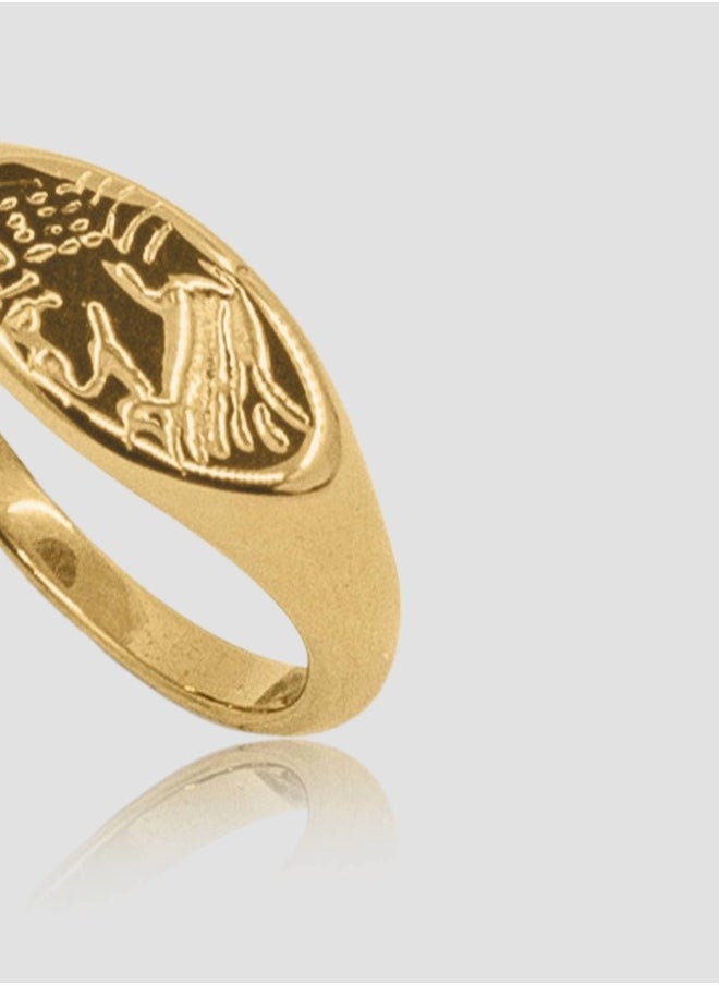 buy-lady-mauve-rex_m6g