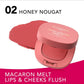 buy-bourjois-paris-macaron-melt-lip-cheek-flush-2-honey-nougat-8g_v5j