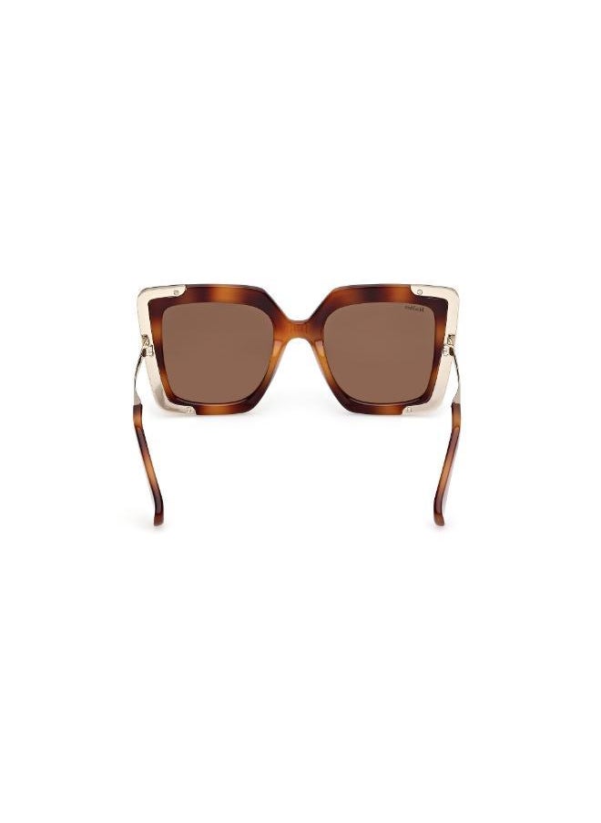 buy-max-mara-injected-shaped-sunglasses_cok