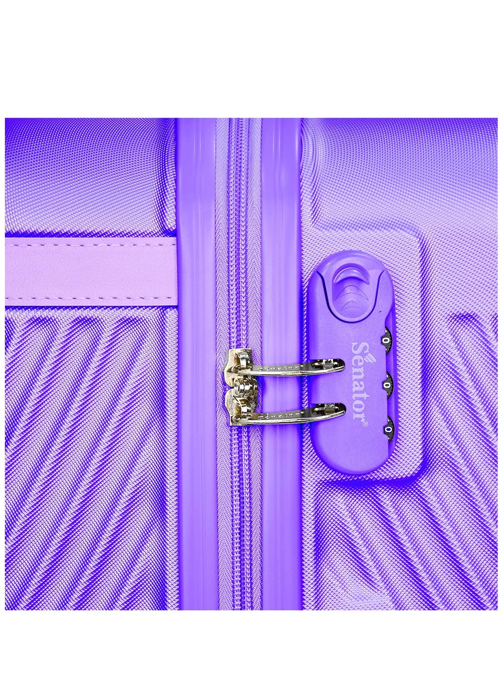 buy-senator-hard-case-travel-bag-luggage-trolley-for-unisex-abs-lightweight-suitcase-with-4-spinner-wheels-kh1065-purple_vev