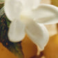 Chloé Nomade Jasmin Naturel Intense 75Ml - Enchanting Elegance