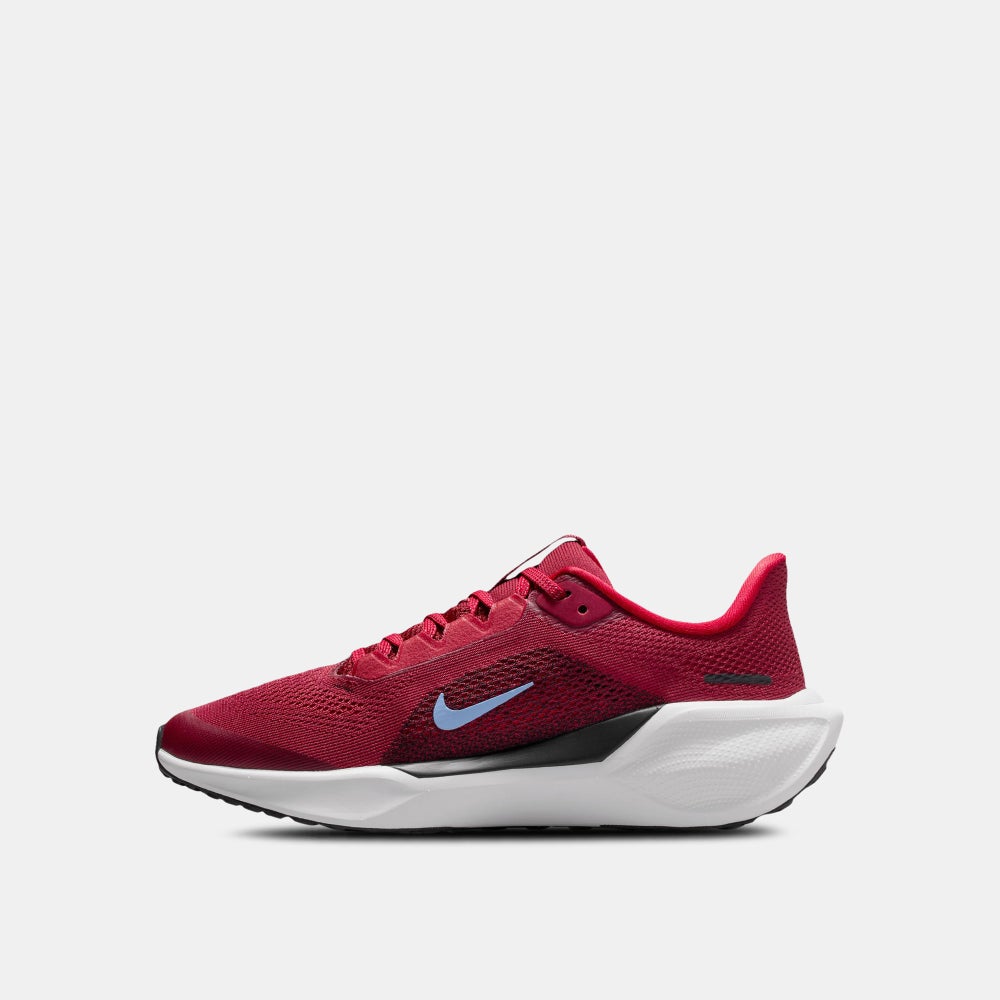 buy-nike-kids-pegasus-41-road-running-shoes_pz4