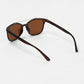 buy-haute-sauce-the-bar-aviator-sunglasses-chocolate-brown_p13