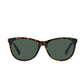 buy-polaroid-pld-4161-s-wayfarers-sunglasses_sou