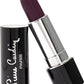 Porcelain Plum Matte Lipstick 221 - Liquid Elegance