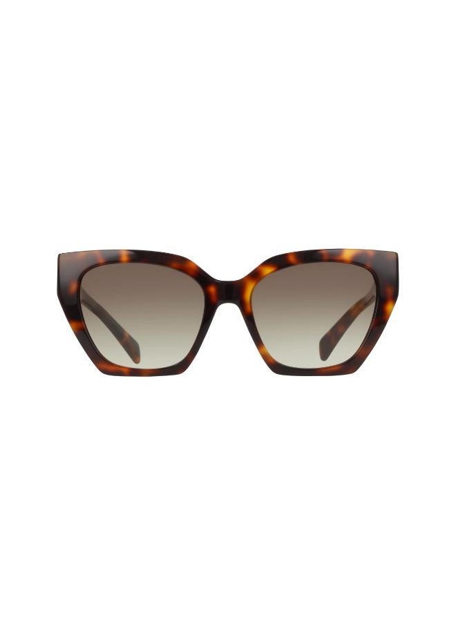 buy-liu-jo-cat-eye-sunglasses_jsv