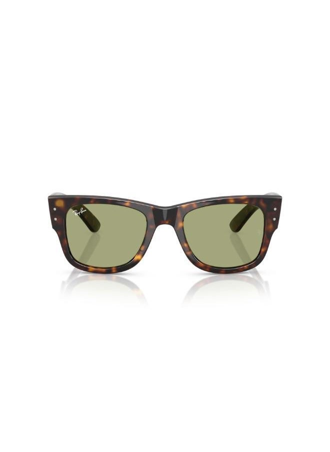 buy-ray-ban-ray-ban-havana-sunglasses_nvg