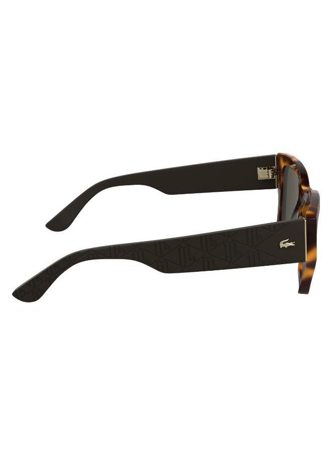 buy-lacoste-butterfly-sunglasses_l9k