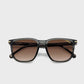 buy-carrera-205785kb754ha-wayfarer-sunglasses_wzq