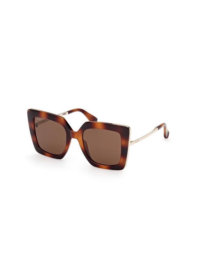 buy-max-mara-injected-shaped-sunglasses_yje
