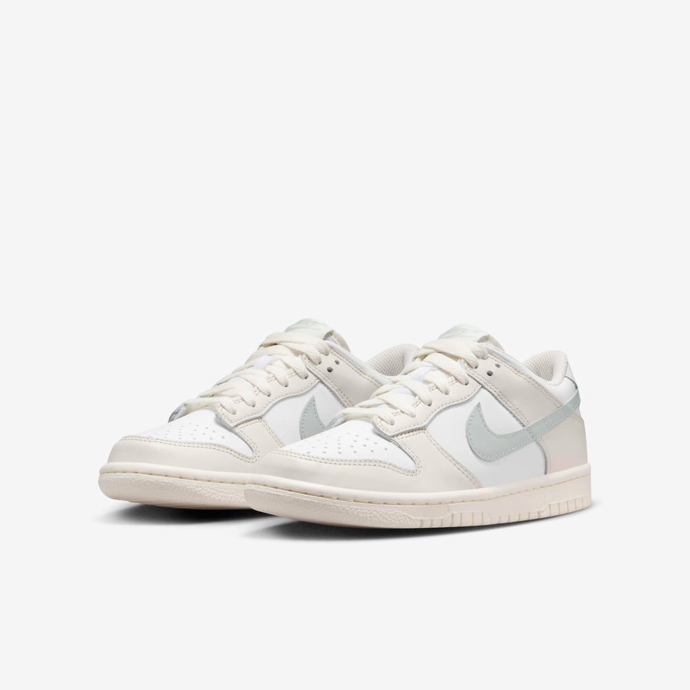 buy-nike-kids-dunk-low-shoes_4lx