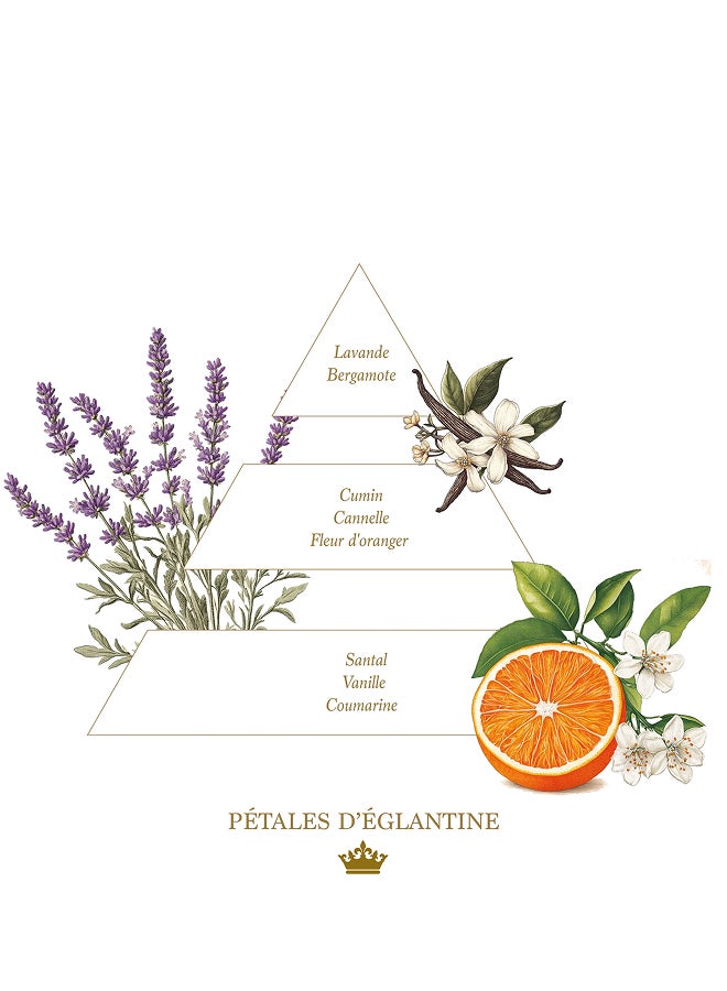 buy-la-savonnerie-royale-liquid-hand-soap-refill-bottle-1l-petales-d-eglantine_zeb