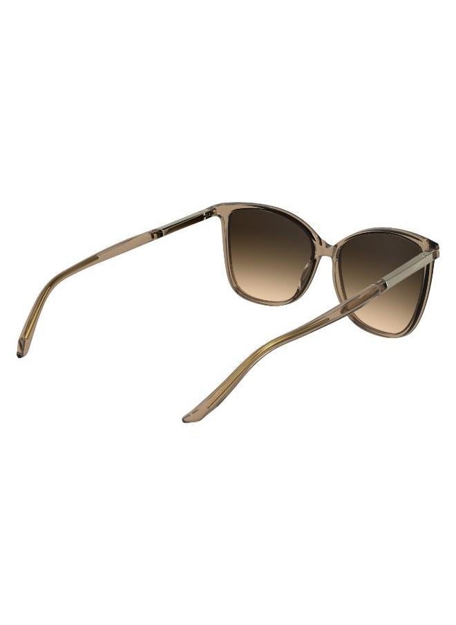 buy-calvin-klein-butterfly-sunglasses_o1r