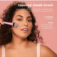Precision Color Tapered Cheek Brush RT 449