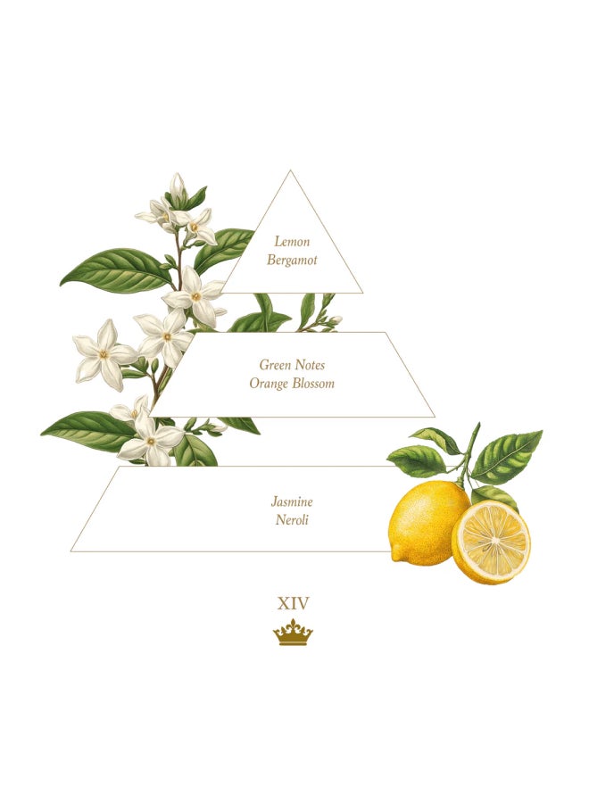 buy-la-savonnerie-royale-set-of-3-soaps-ndeg2_u32