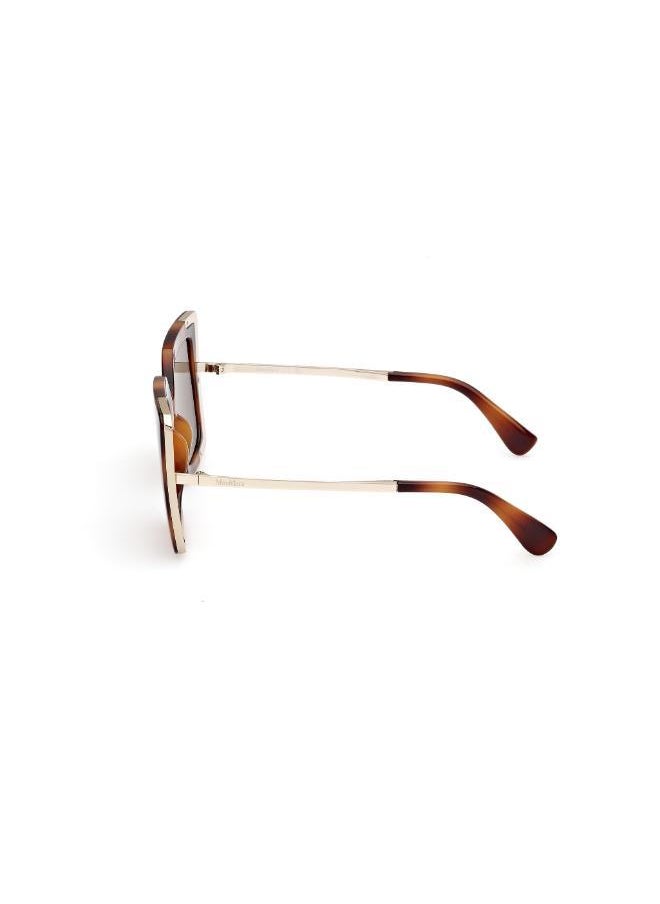 buy-max-mara-injected-shaped-sunglasses_i4i