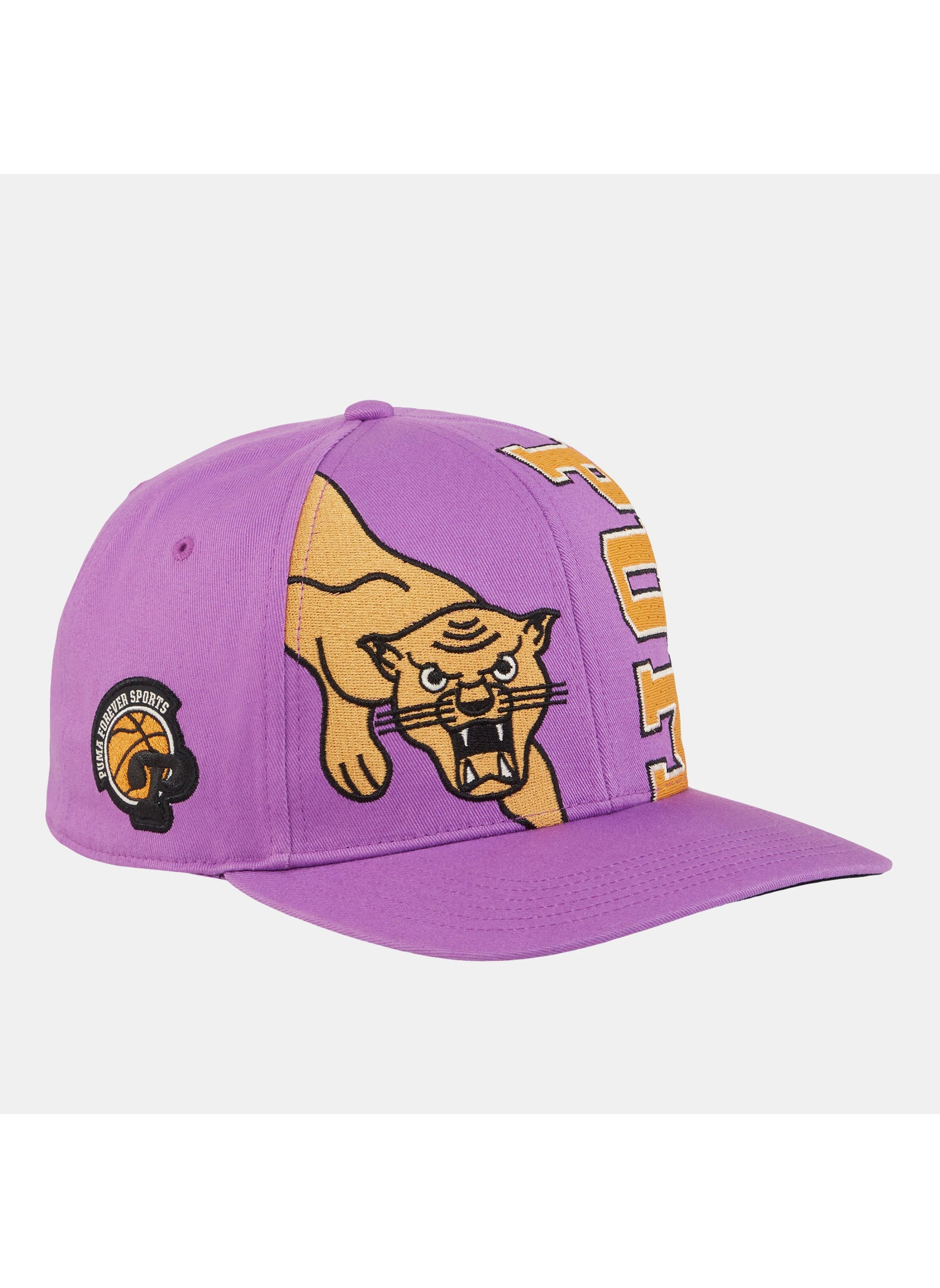 buy-puma-hometown-heroes-graphic-cap_2nx