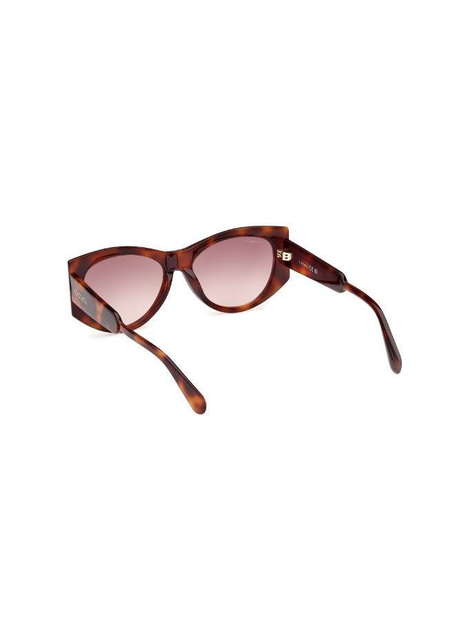 buy-maxco-wayfarers-sunglasses_lv4
