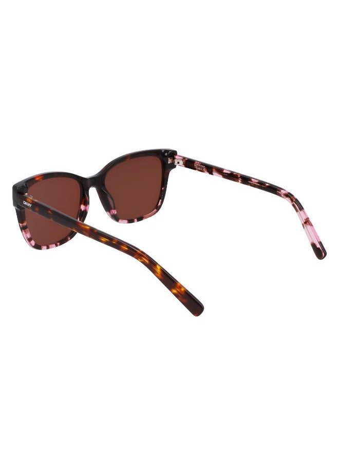 buy-dkny-tea-cup-sunglasses_im8