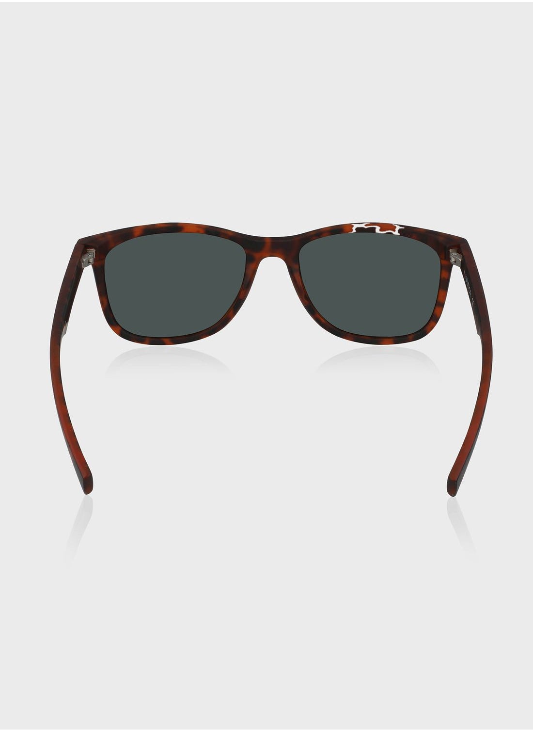 buy-nautica-n3661sp-wayfarers-sunglasses_6pp