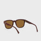 buy-lacoste-wayfarers-sunglasses_32g